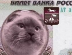 Кото Займ на карту