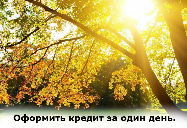 оформить кредит за один день